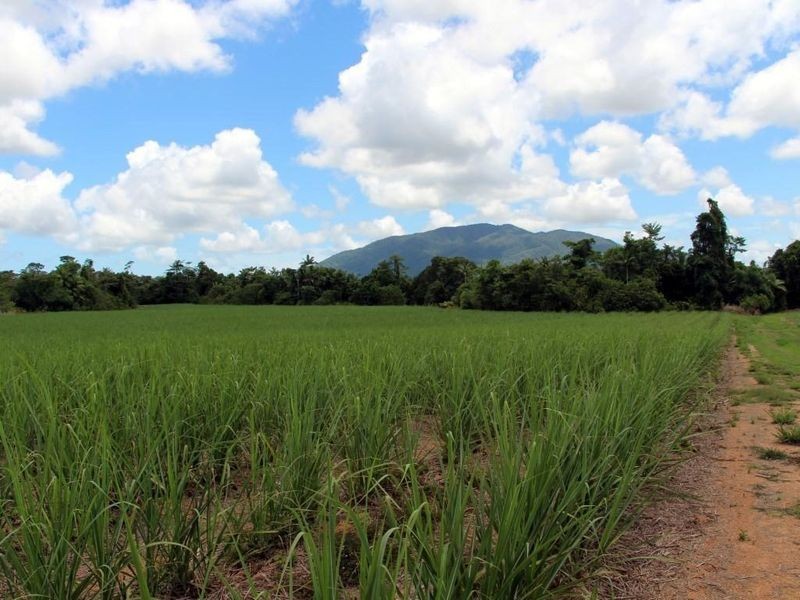 2 Feluga Road, Feluga QLD 4854