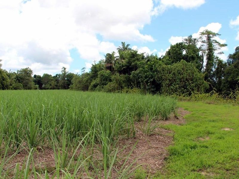 2 Feluga Road, Feluga QLD 4854