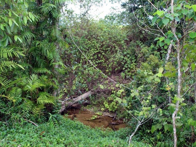 2 Feluga Road, Feluga QLD 4854