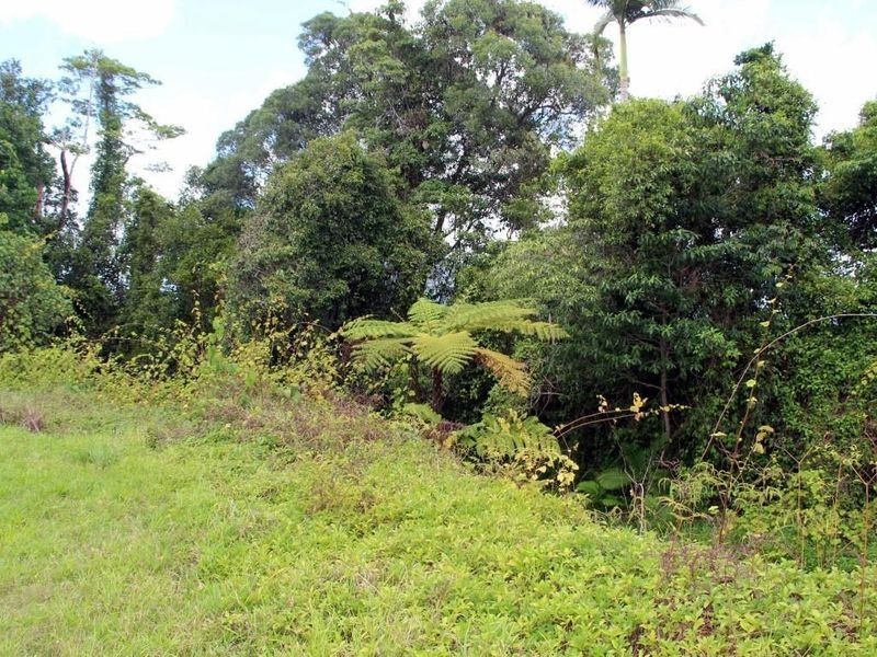 2 Feluga Road, Feluga QLD 4854