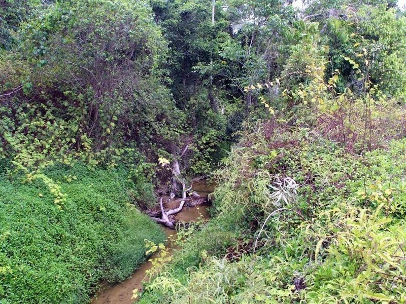 2 Feluga Road, Feluga QLD 4854