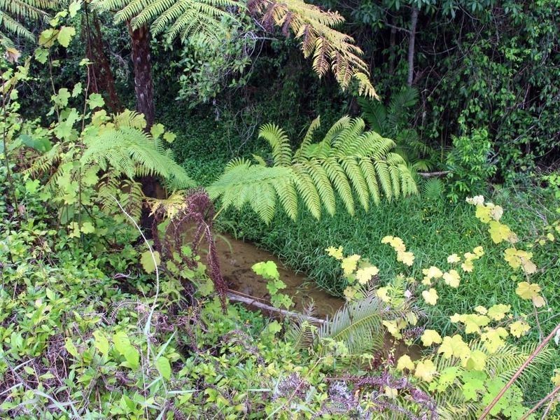 2 Feluga Road, Feluga QLD 4854