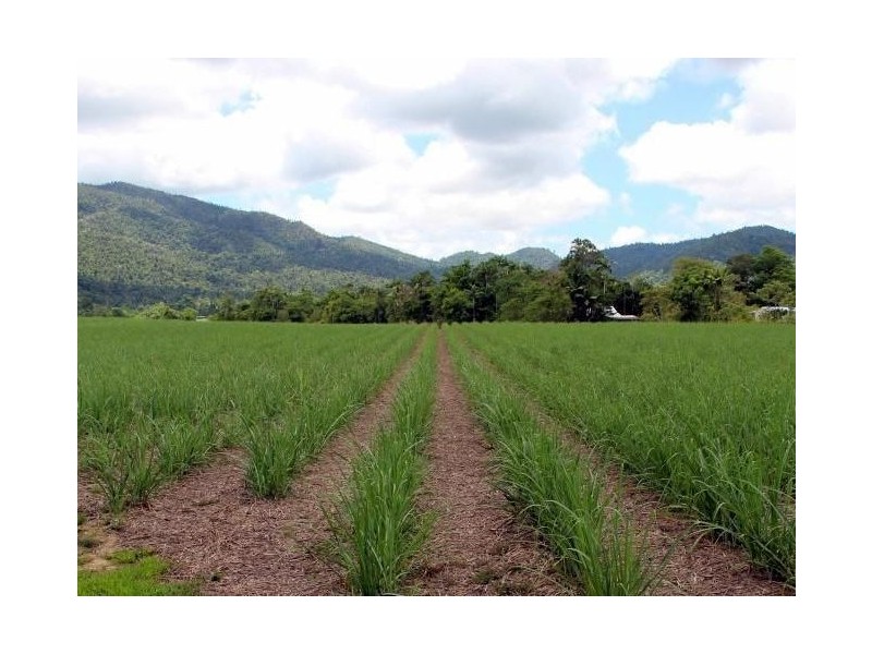 2 Feluga Road, Feluga QLD 4854