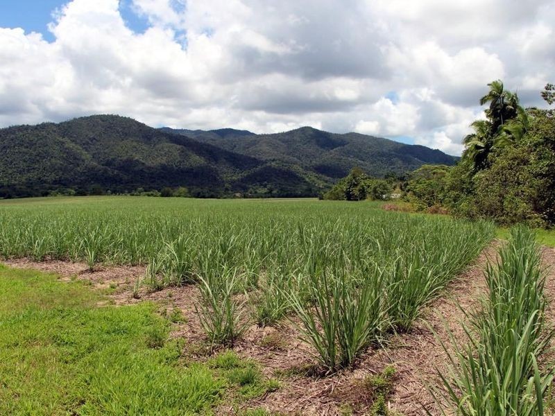 2 Feluga Road, Feluga QLD 4854