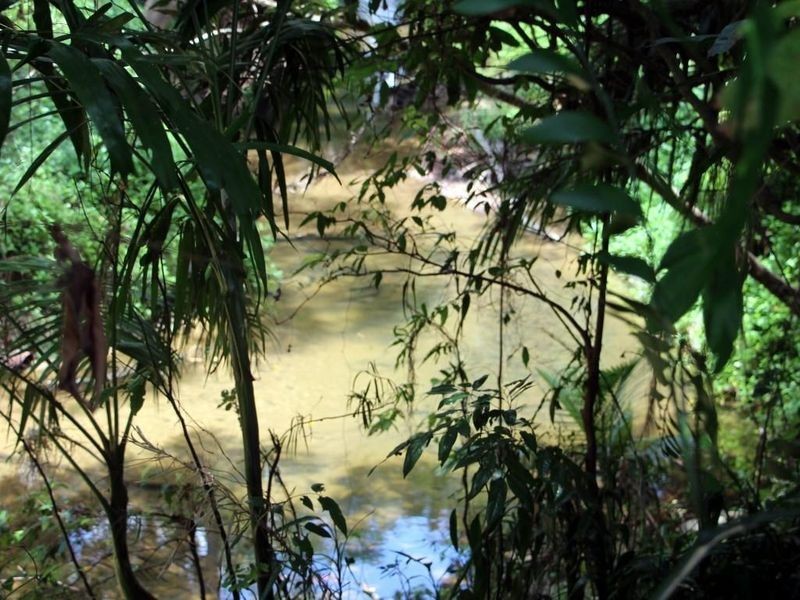 2 Feluga Road, Feluga QLD 4854