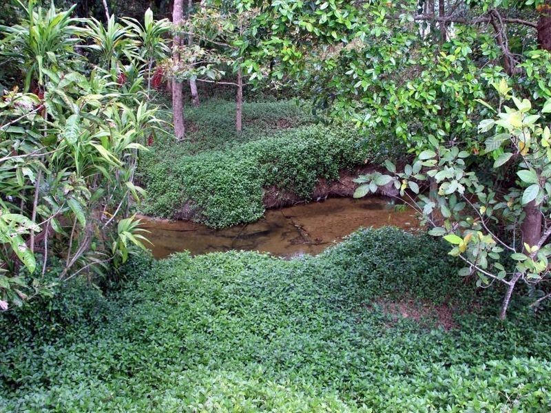 2 Feluga Road, Feluga QLD 4854