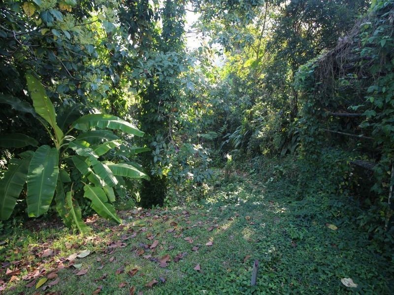 17 Henry Street, Tully QLD 4854