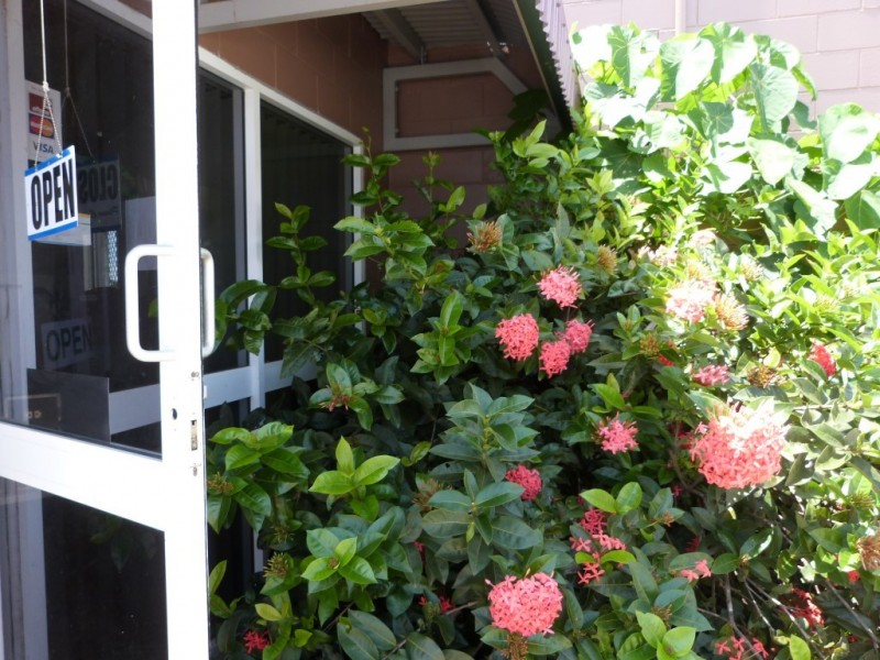 6/9 DEWAR STREET, Mission Beach QLD 4852