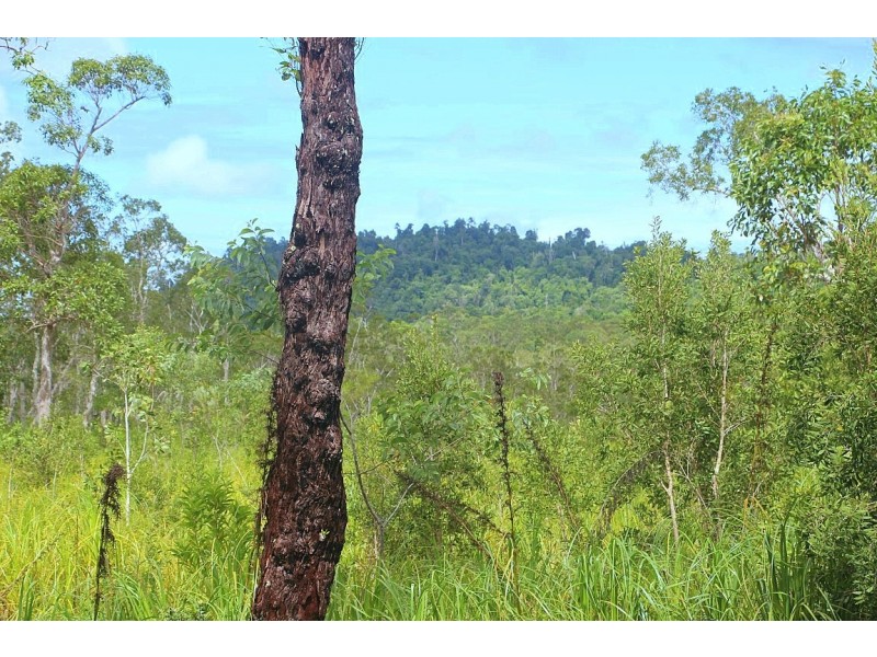 Lot 26 MCINTOSH ROAD, East Feluga QLD 4854