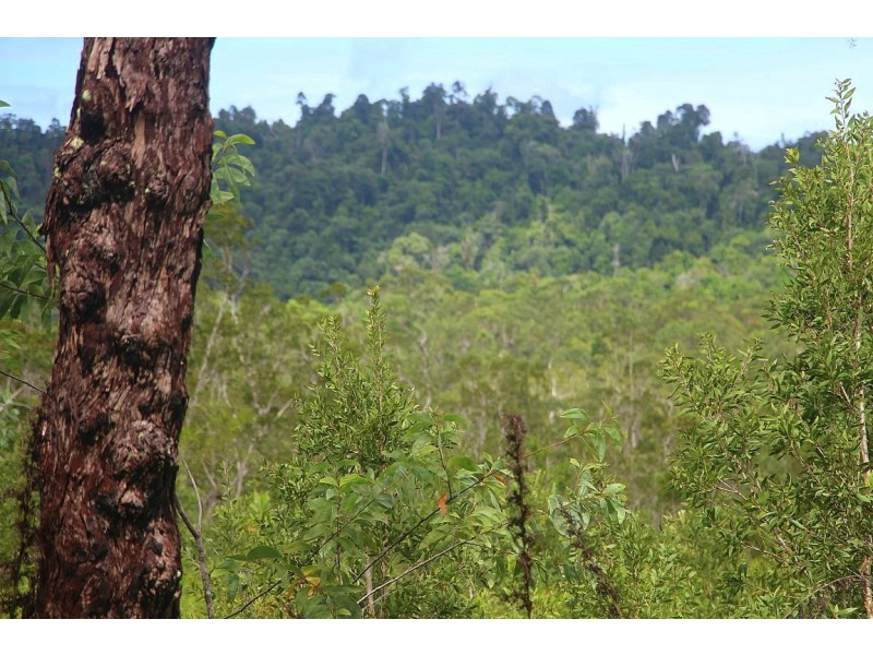 Lot 26 MCINTOSH ROAD, East Feluga QLD 4854