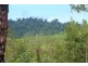 Lot 26 MCINTOSH ROAD, East Feluga QLD 4854