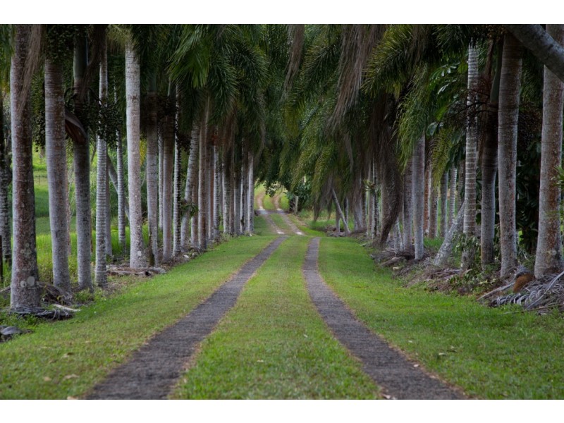 145 Hill Sixty Road, Jaffa QLD 4855