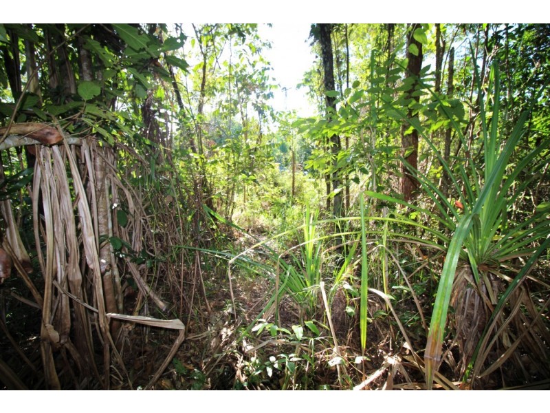 2/748 East Feluga Road, East Feluga QLD 4854