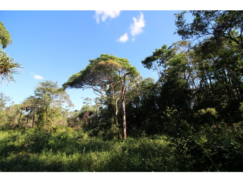 2/748 East Feluga Road, East Feluga QLD 4854