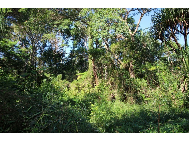 2/748 East Feluga Road, East Feluga QLD 4854