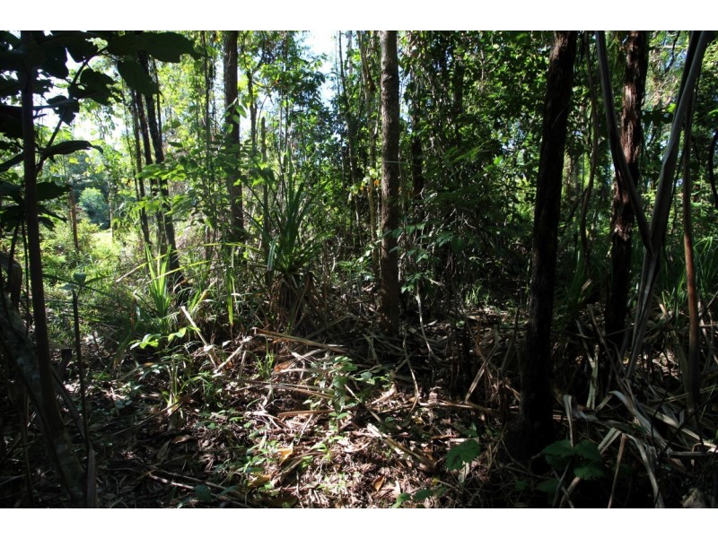 2/748 East Feluga Road, East Feluga QLD 4854