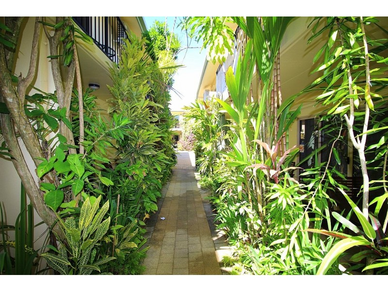3, 11, 13 + 15/ Holland Street, Wongaling Beach QLD 4852