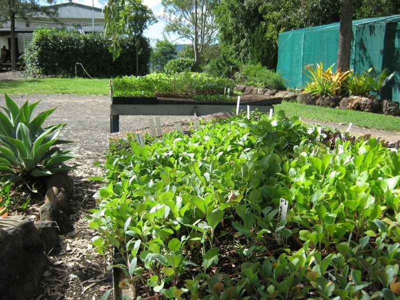 22 Bonnell Rd, Thornton QLD 4341