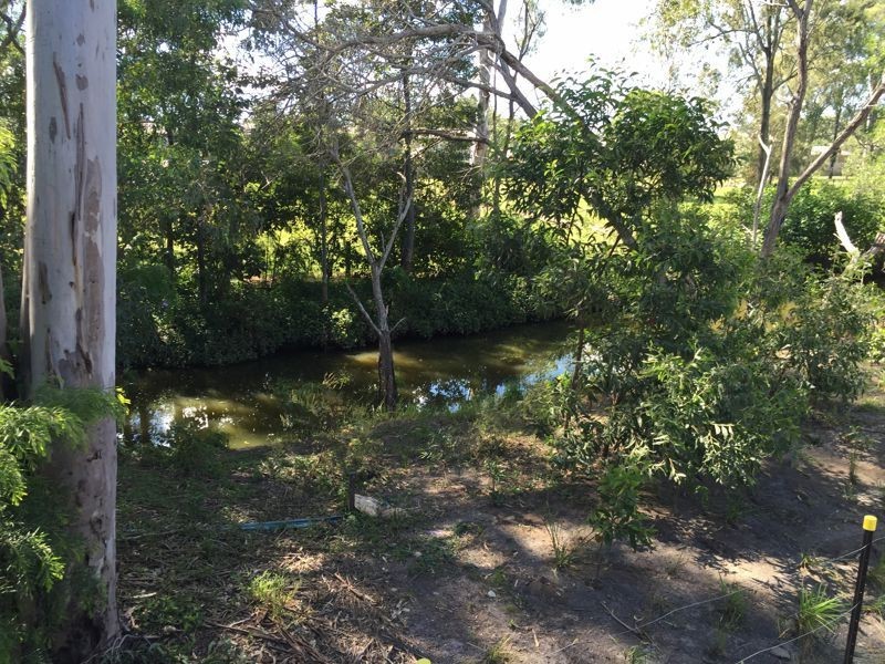 155 Fryars Road, Eagleby QLD 4207