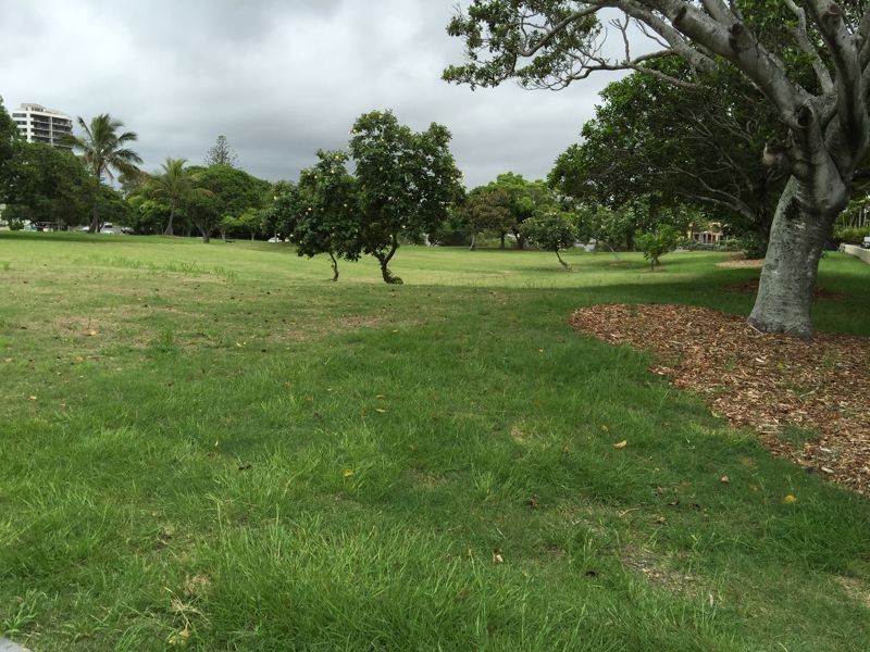 RENT 2890 Gold Coast Highway, Surfers Paradise QLD 4217