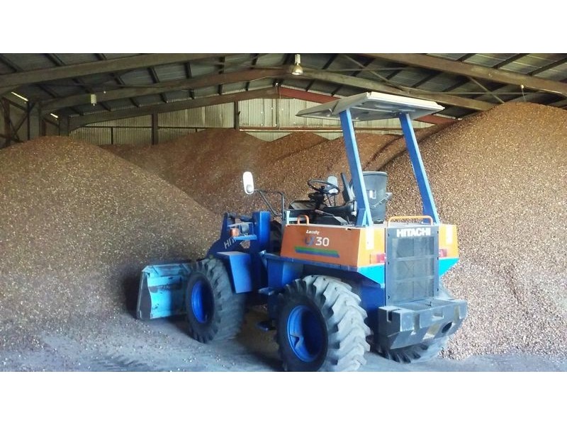 20 Cassino Drive, Casino NSW 2470