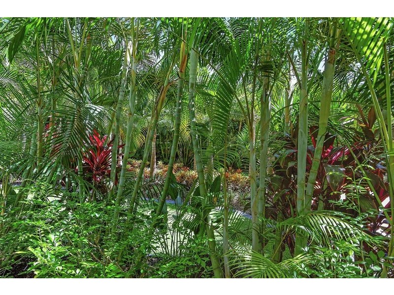 105/9 BEACH PARADE, Surfers Paradise QLD 4217