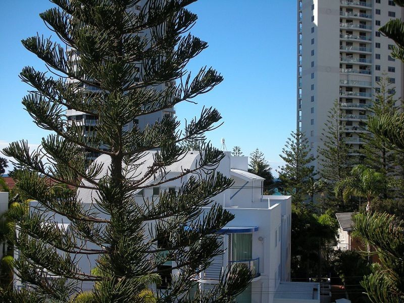 404/9 BEACH PARADE, Surfers Paradise QLD 4217