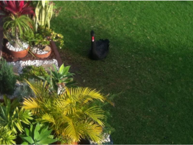 29 Duet Drive, Mermaid Waters QLD 4218