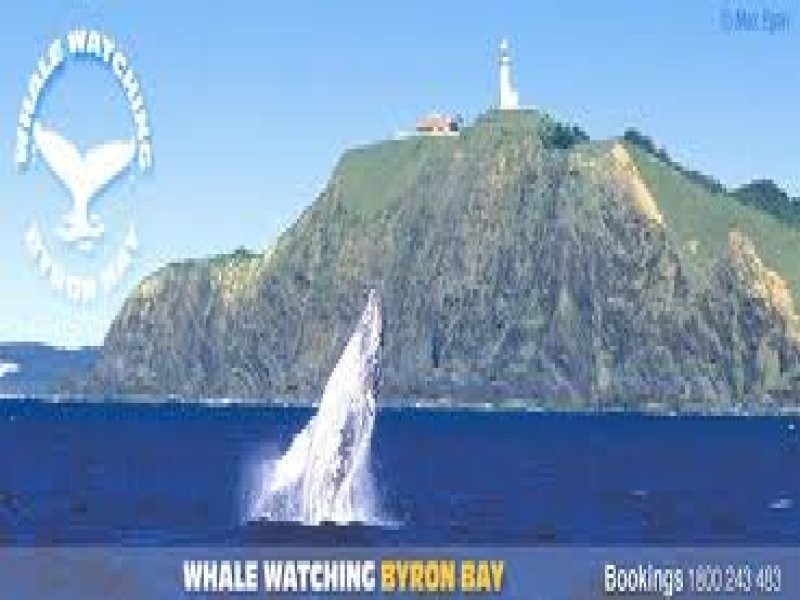 REF 1674, Byron Bay NSW 2481