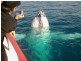 Hervey Bay QLD 4655
