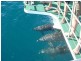 Hervey Bay QLD 4655