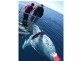 Hervey Bay QLD 4655