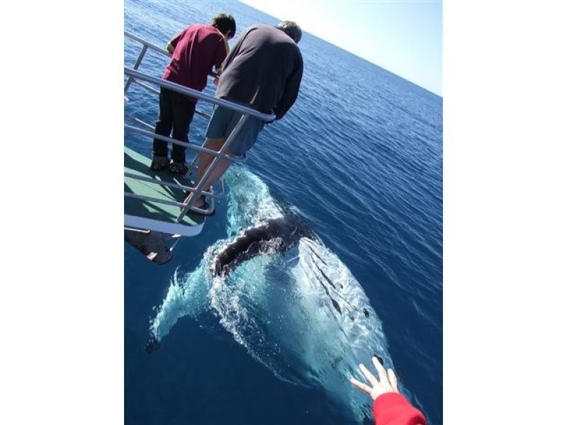Hervey Bay QLD 4655