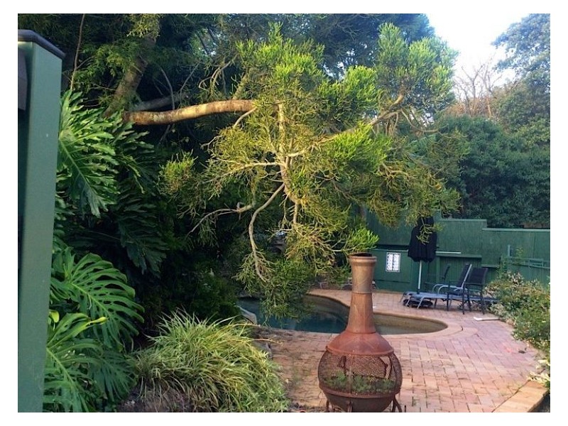 11 Christopher Street, Baulkham Hills NSW 2153