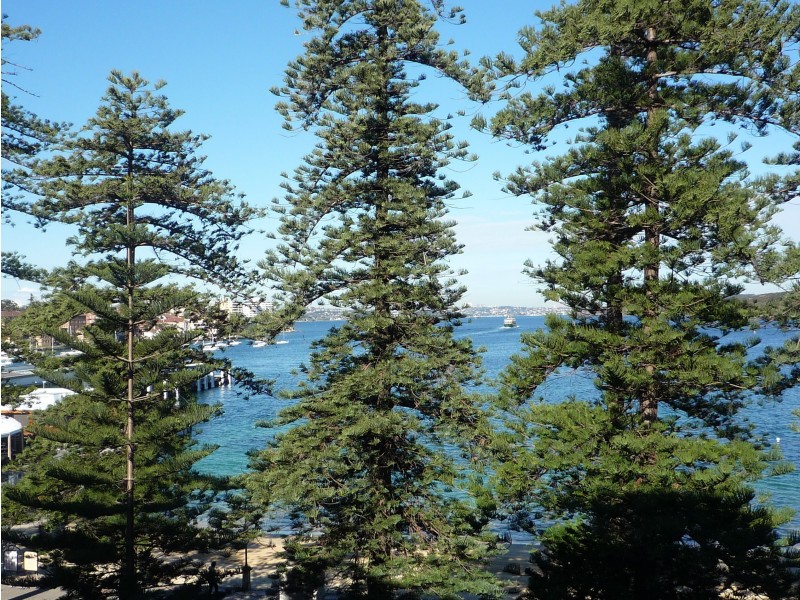 306/54 West Esplanade/Grand Esplanade, Manly NSW 2095