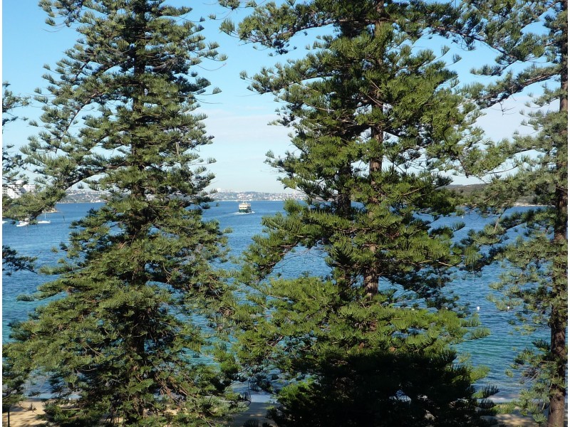 306/54 West Esplanade/Grand Esplanade, Manly NSW 2095