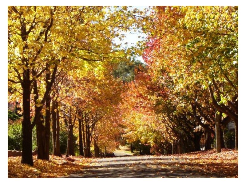 28 Carole Avenue, Baulkham Hills NSW 2153