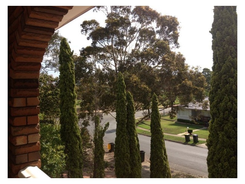 6 Hutchins Crescent, Kings Langley NSW 2147