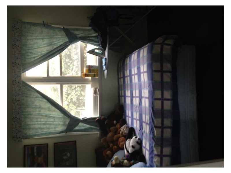 House 17 Judith Avenue, Seven Hills NSW 2147