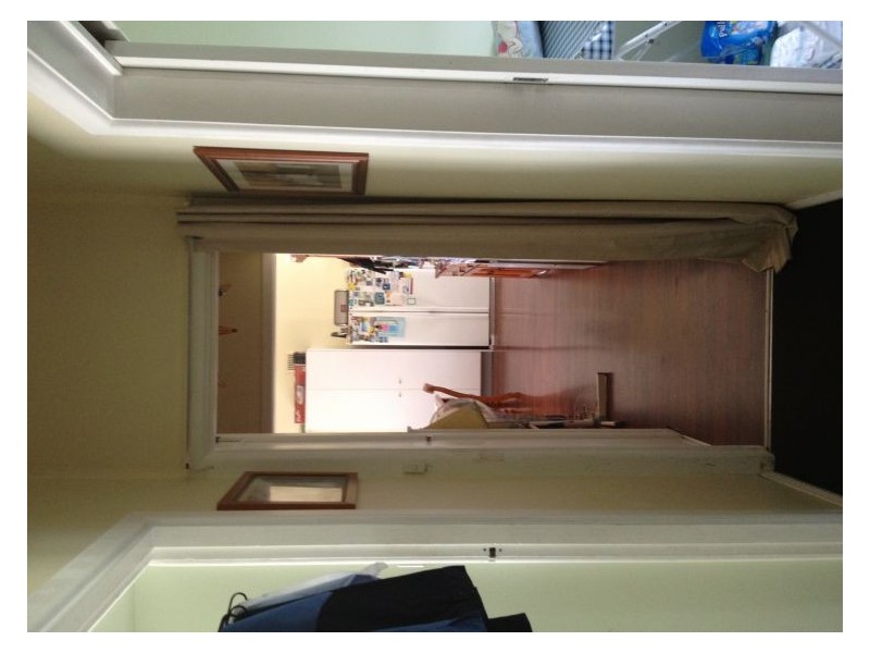 House 17 Judith Avenue, Seven Hills NSW 2147