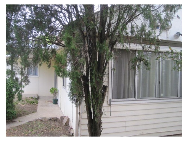 Granny Flat 2a Benaud Street, Blacktown NSW 2148