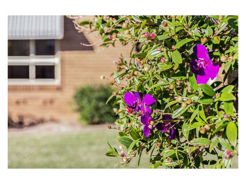 16 Myuna Crescent, Seven Hills NSW 2147