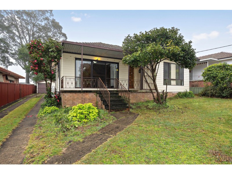 17 Cornock Avenue, Toongabbie NSW 2146