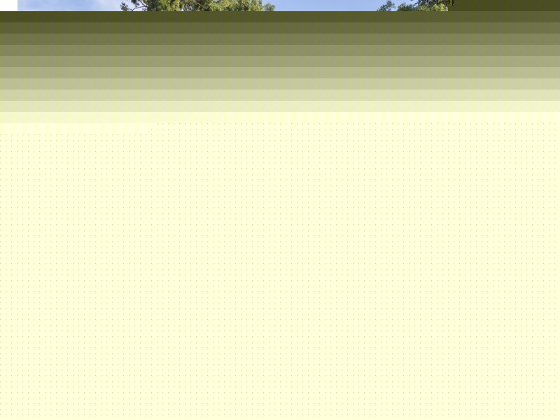 16 Honeyeater Place, Erskine Park NSW 2759