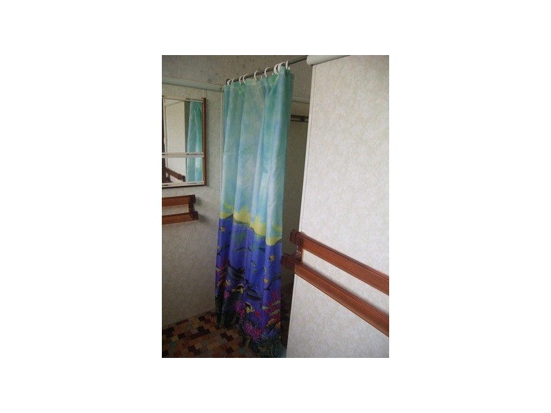 27  Scott Street, Toongabbie NSW 2146