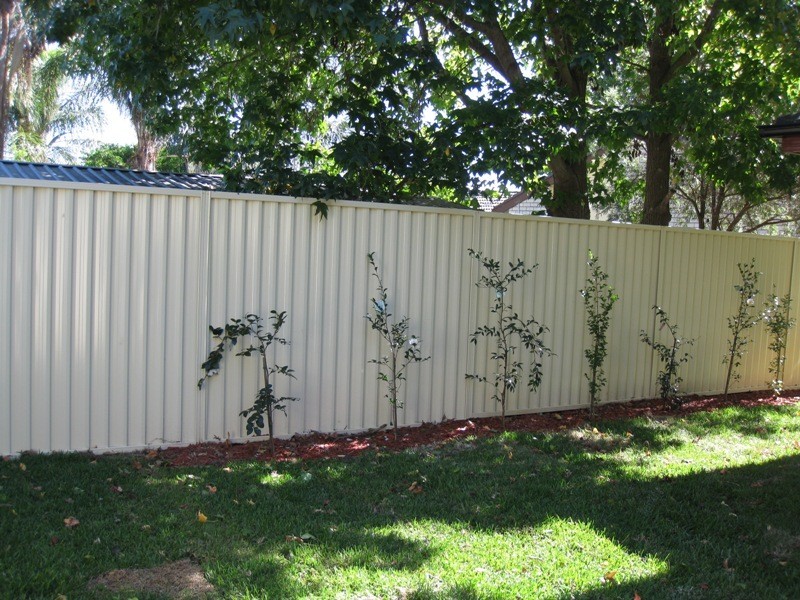 2 Judith Anderson Drive, Doonside NSW 2767