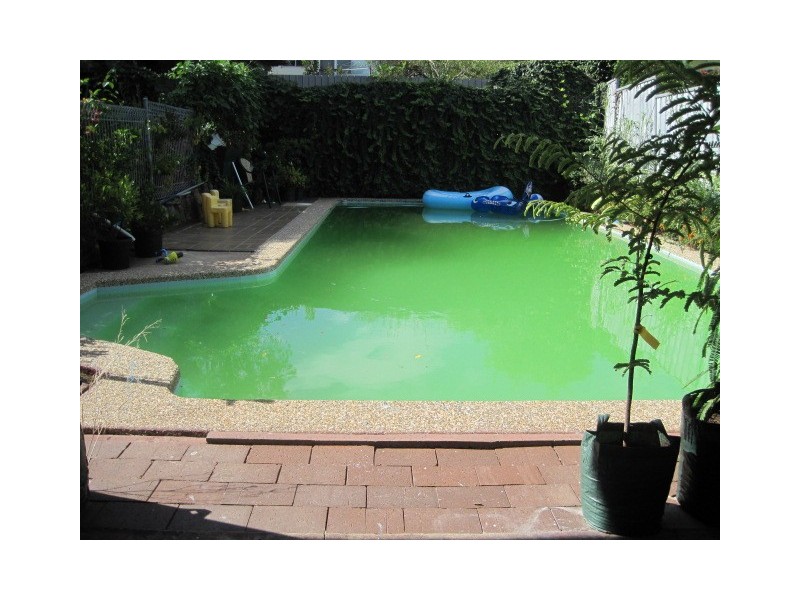 79  Douglas Road,, Blacktown NSW 2148