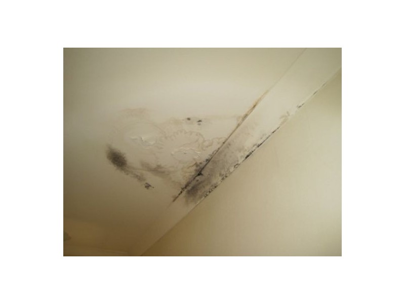 35/14-18  Fourth Ave,, Blacktown NSW 2148