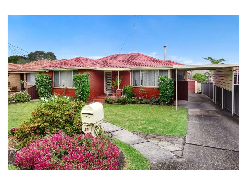 58 Tulip Street, Greystanes NSW 2145