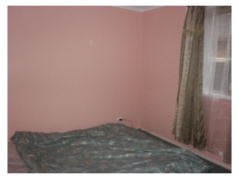 24 Hartnett Place,, Doonside NSW 2767